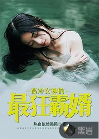《高冷女神的最狂霸婿》小说封面