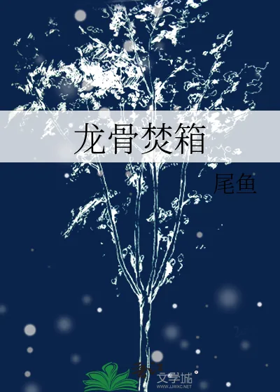 《龙骨焚箱》小说封面
