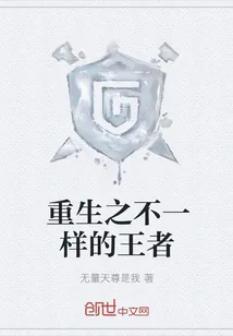 《重生之不一样的王者》小说封面
