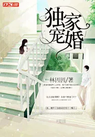 《独家宠婚》小说封面