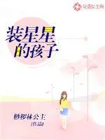 《装星星的孩子》小说封面