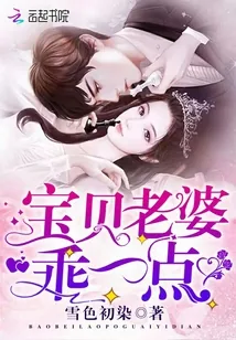 《宝贝老婆，乖一点！》小说封面