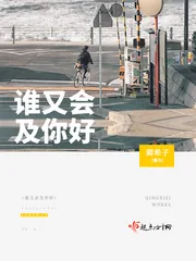 《谁又会及你好》小说封面