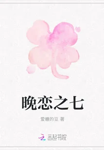 《晚恋之七》小说封面