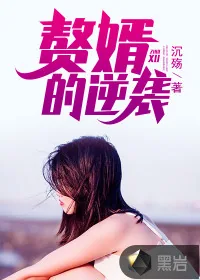 《赘婿的逆袭》小说封面