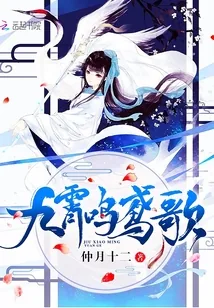 《九霄鸣鸢歌》小说封面