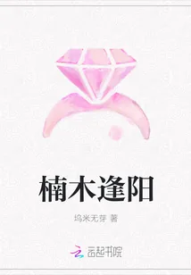 《楠木逢阳》小说封面