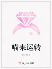 《喵来运转》小说封面