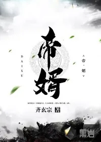 《帝婿》小说封面