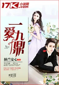 《一爱九鼎》小说封面