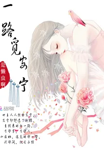《一路觅安宁》小说封面