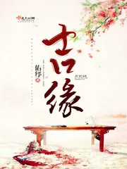《吉缘》小说封面