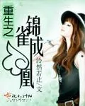 《重生之锦雀成凰》小说封面