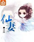 《仙妻》小说封面