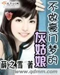 《不做豪门梦的灰姑娘》小说封面