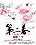 《第二春》小说封面