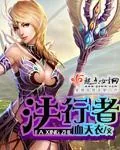 《法行者》小说封面