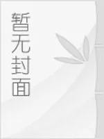 《谜案局中局》小说封面