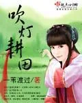 《吹灯耕田》小说封面