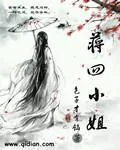 《蒋四小姐》小说封面