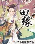《田缘》小说封面