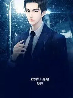 《慕少，轻点撩》小说封面
