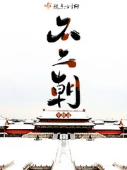 《不二朝》小说封面
