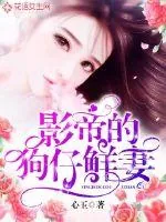 《影帝的狗仔鲜妻》小说封面