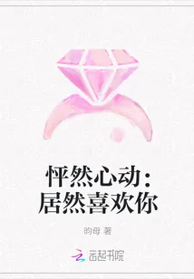 《怦然心动：居然喜欢你》小说封面