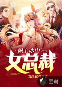 《赖上冰山女总裁》小说封面
