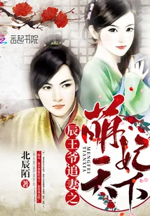 《辰王爷追妻之萌妃天下》小说封面