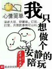 《我只想做个安静的陪玩》小说封面