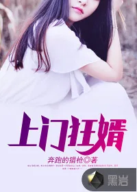 《上门狂婿》小说封面