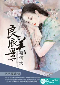 《良辰美景奈何天》小说封面