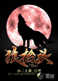 《狼抬头》小说封面