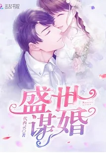 《盛世谋婚》小说封面