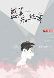 《盛夏知华年》小说封面