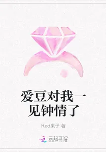 《爱豆对我一见钟情了》小说封面