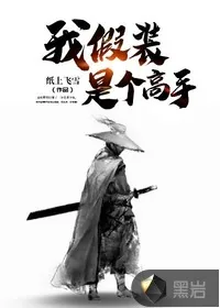 《我假装是个高手》小说封面