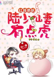 《陆少仙妻有点虎》小说封面