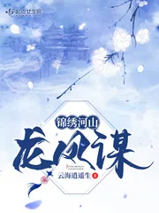 《锦绣河山龙凤谋》小说封面