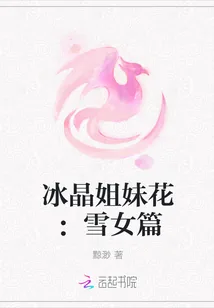 《冰晶姐妹花：雪女篇》小说封面