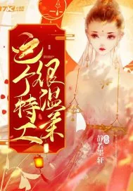《这个特工很温柔》小说封面