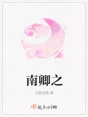 《南卿之》小说封面
