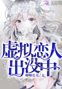 《虚拟恋人出没中》小说封面