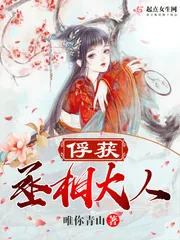 《俘获丞相大人》小说封面