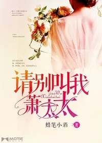 《请叫我萧太太》小说封面