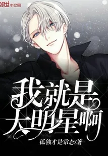 《我就是大明星啊》小说封面