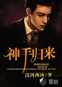 《神手归来》小说封面