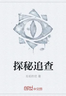 《探秘追查》小说封面